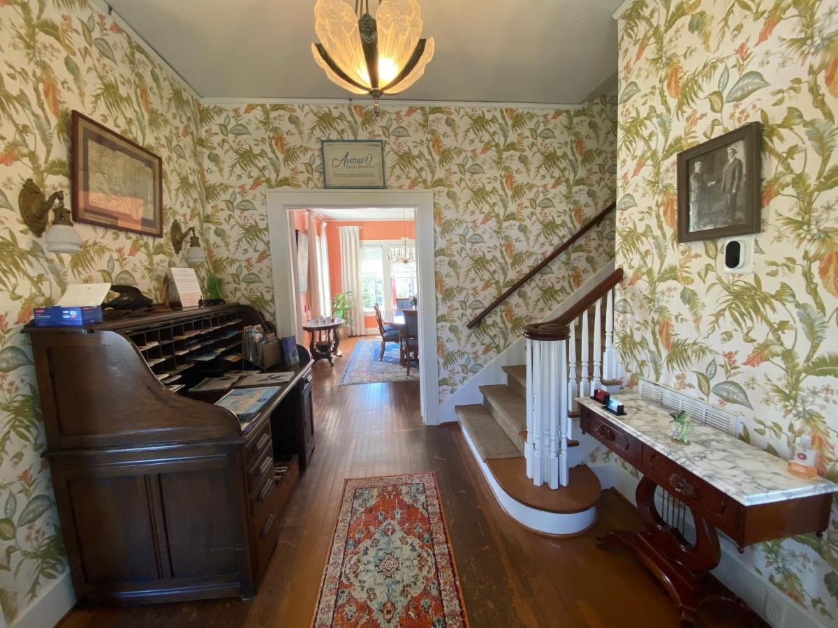 Avenue O Bed And Breakfast Galveston Kültér fotó