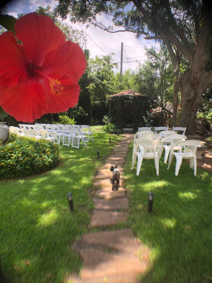 Avenue O Bed And Breakfast Galveston Kültér fotó